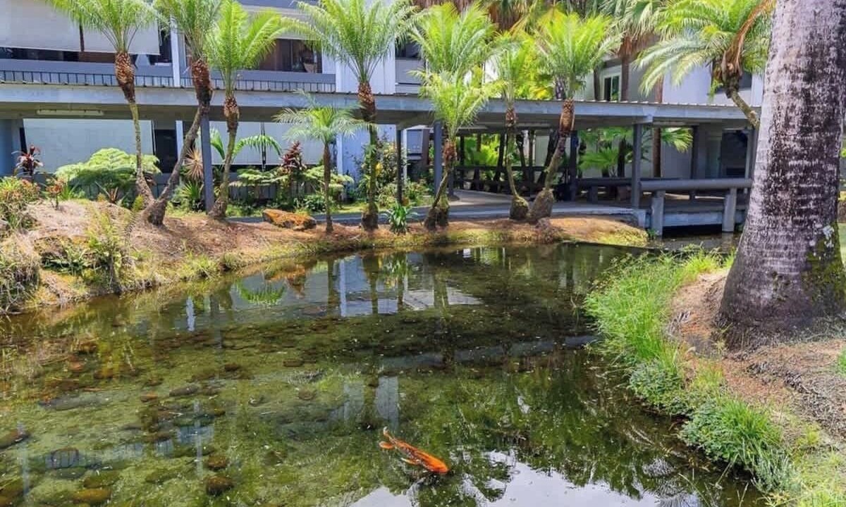 Photo of Others in Hilo