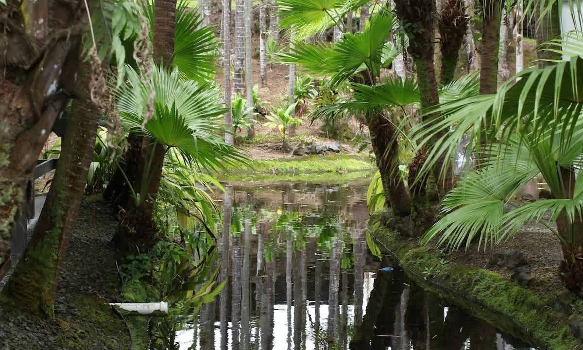 Photo of Others in Hilo