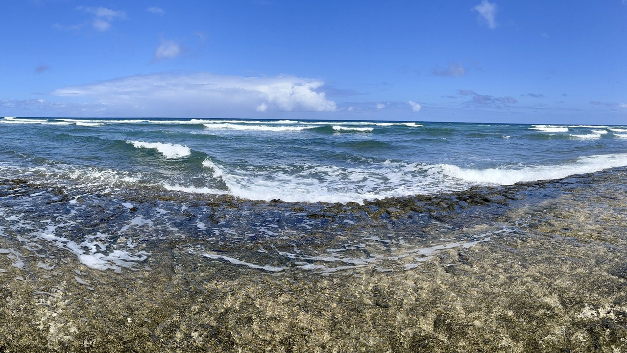 Photo of Others in Hanamaulu