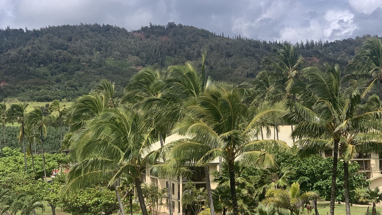 Photo of Others in Hanamaulu