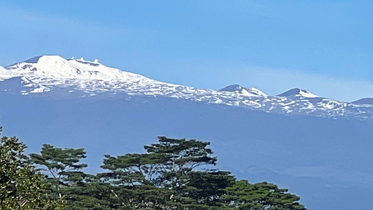 Photo of Outdoor in Hilo