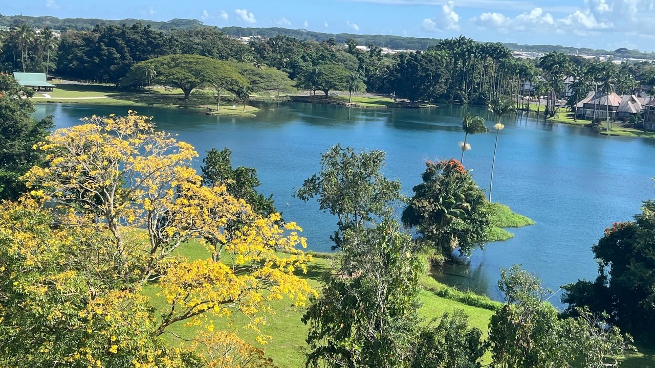 Photo of Others in Hilo