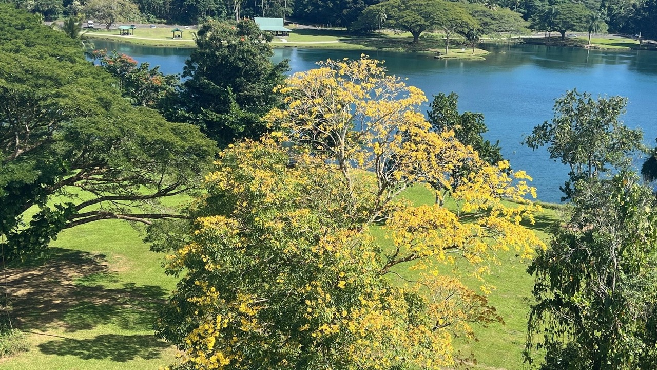Photo of Outdoor in Hilo