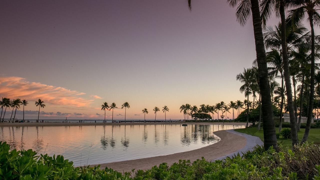 Photo of Others in Waikiki