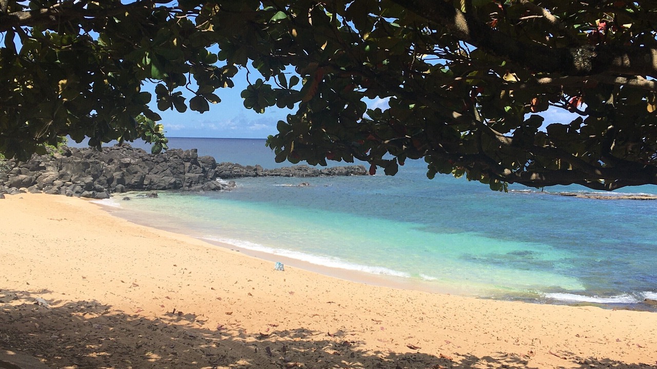 Photo of Others in Pupukea