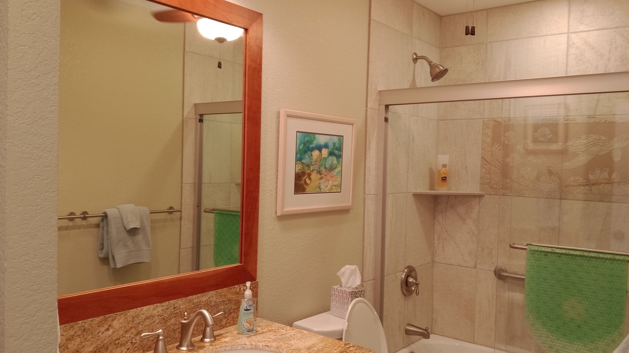 Photo of Bathroom in Keauhou