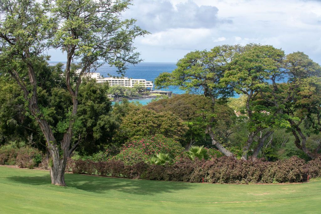 Photo of Others in Keauhou