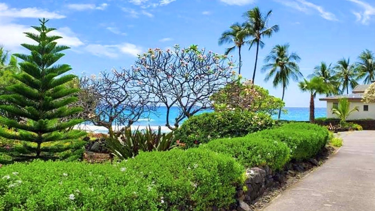 Photo of Others in Kailua-Kona