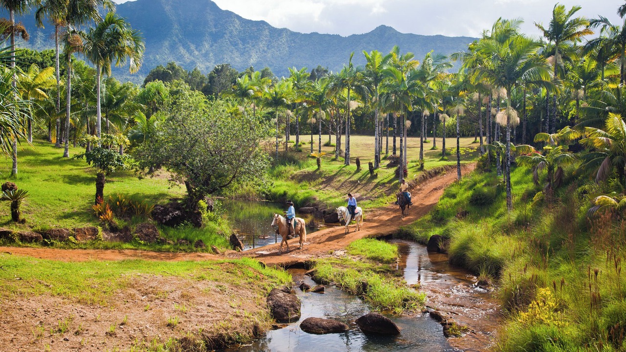 Photo of Others in Hanamaulu