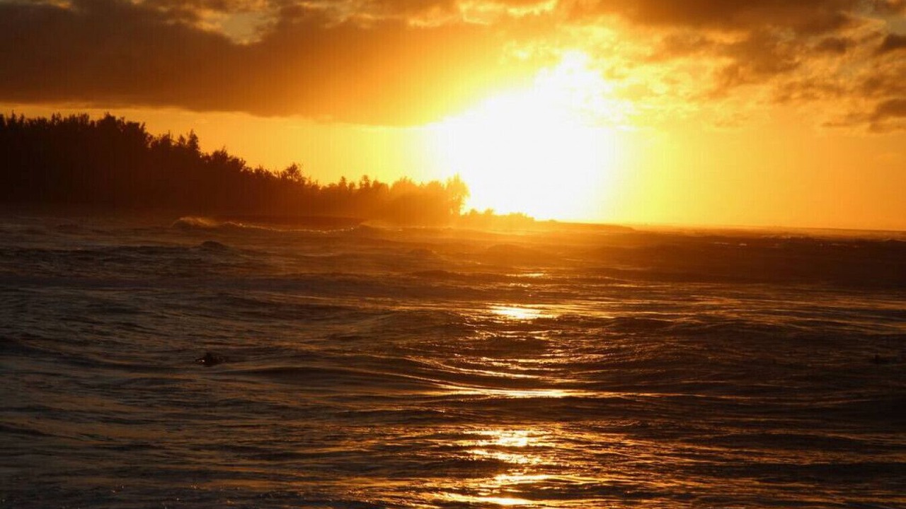 Photo of Others in Kahuku