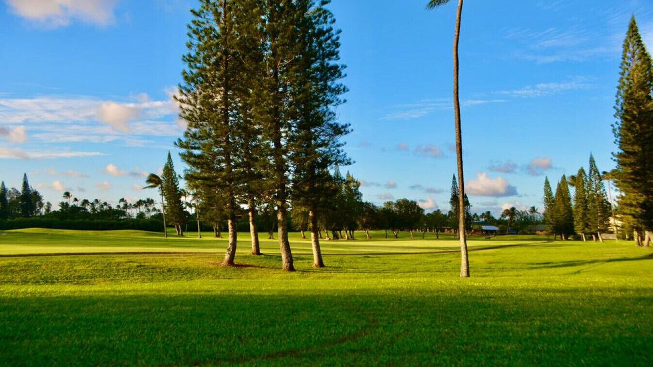 Photo of Others in Kahuku