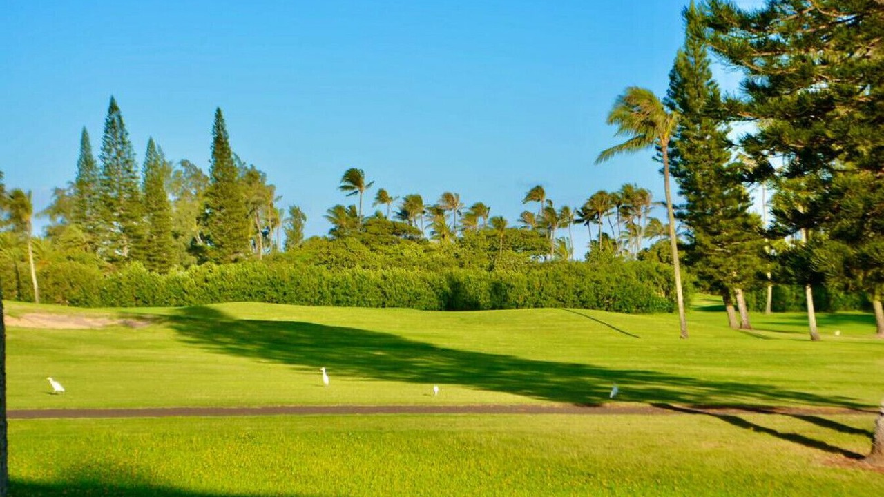 Photo of Others in Kahuku