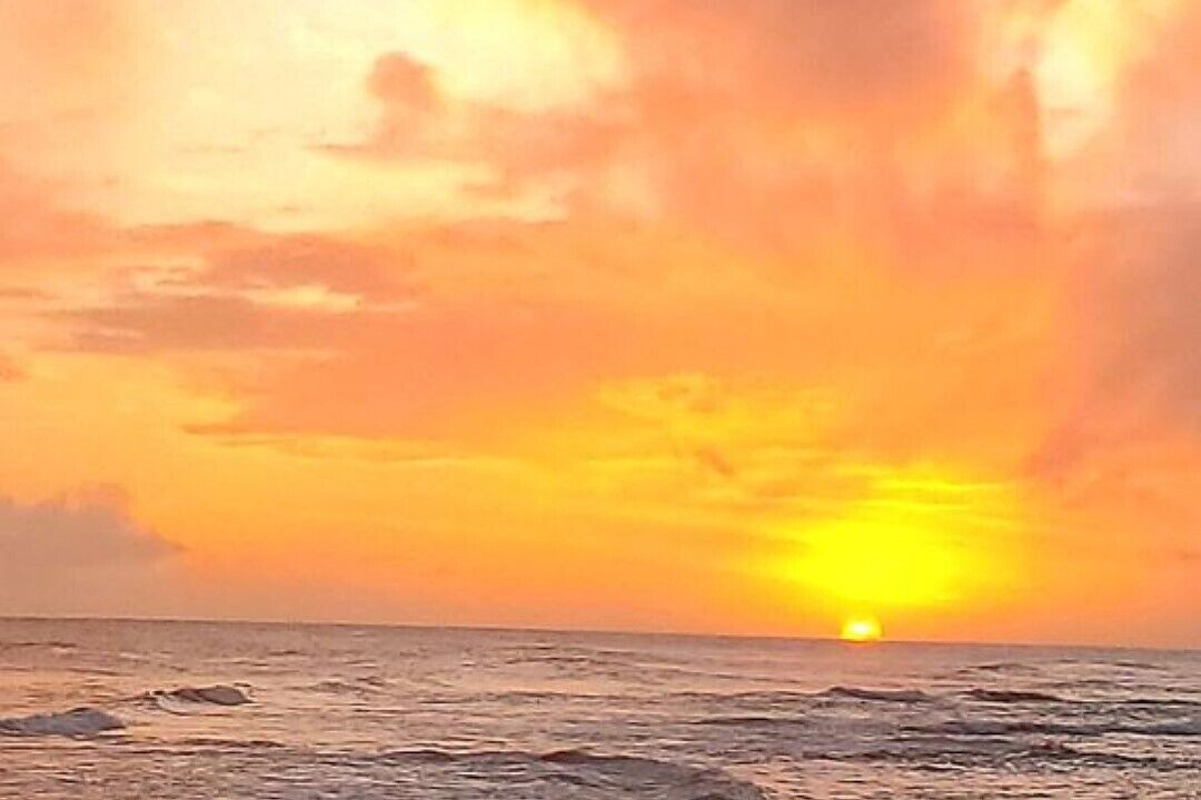Photo of Others in Poipu