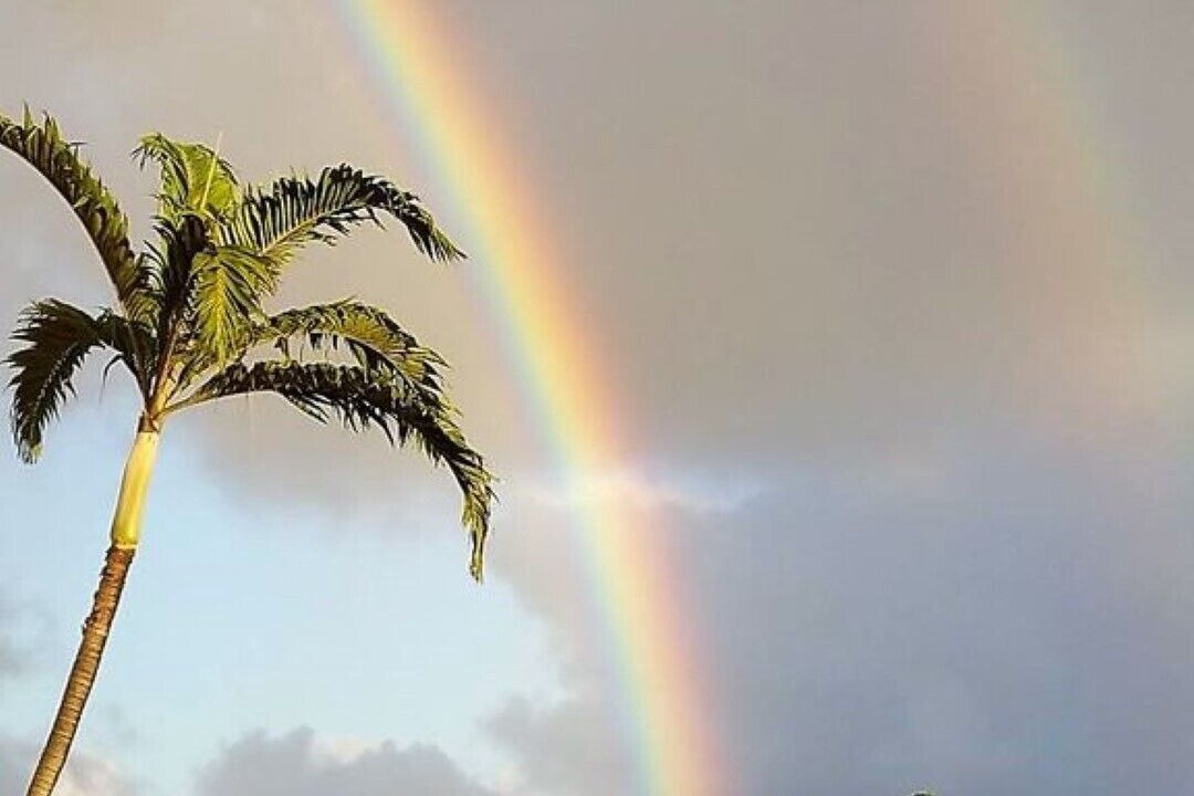 Photo of Others in Poipu