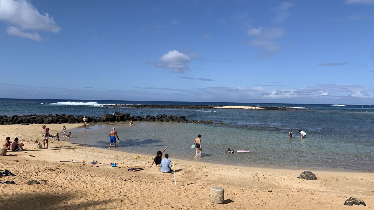 Photo of Others in Poipu