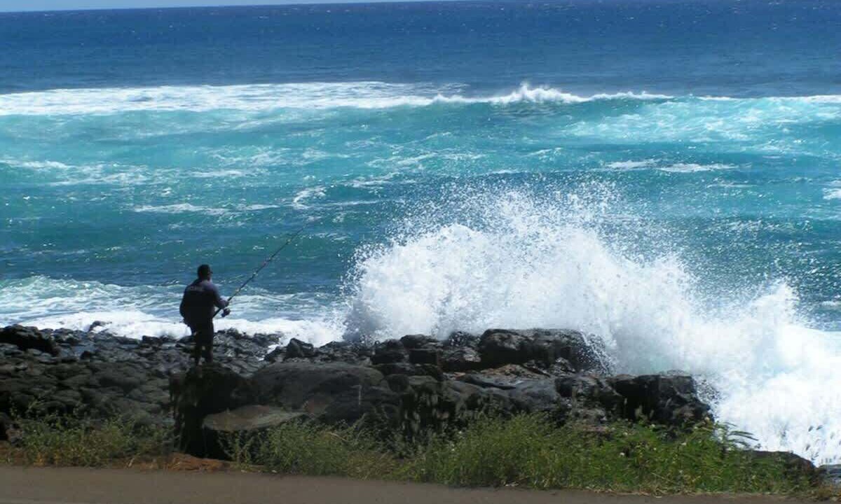 Photo of Others in Poipu