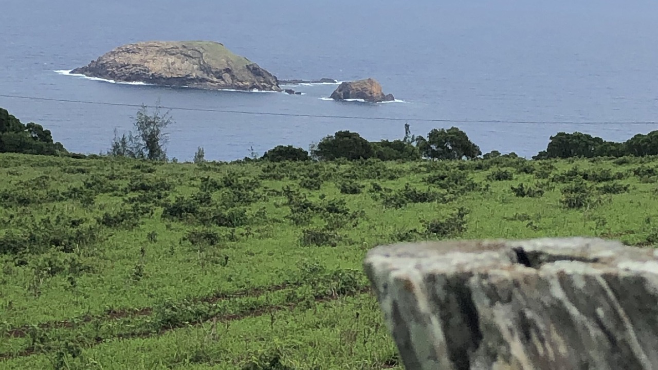 Photo of Others in Kaunakakai