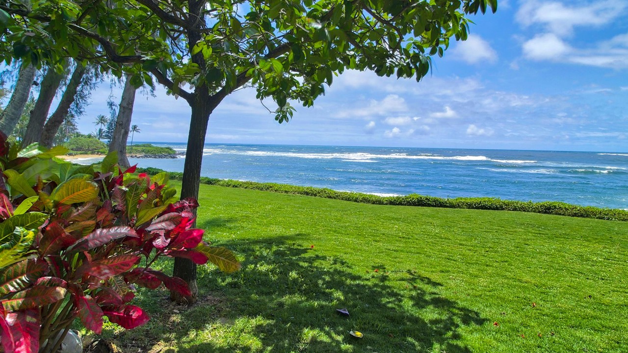 Photo of Outdoor in Wailua