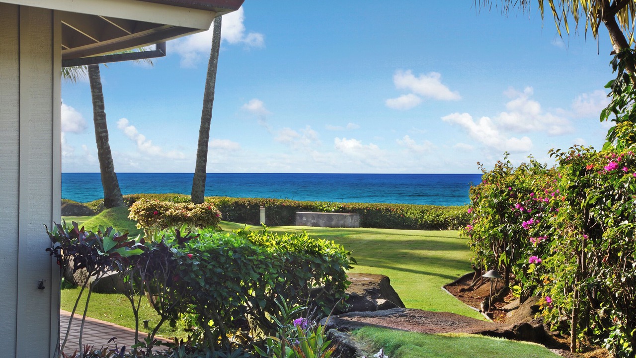 Photo of Outdoor in Poipu