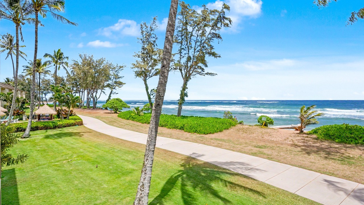 Photo of Outdoor in Wailua
