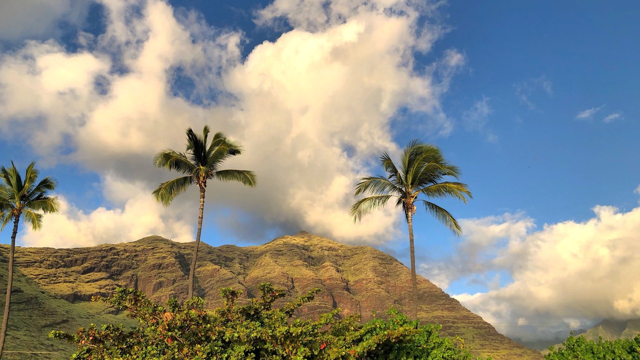 Photo of Outdoor in Makaha