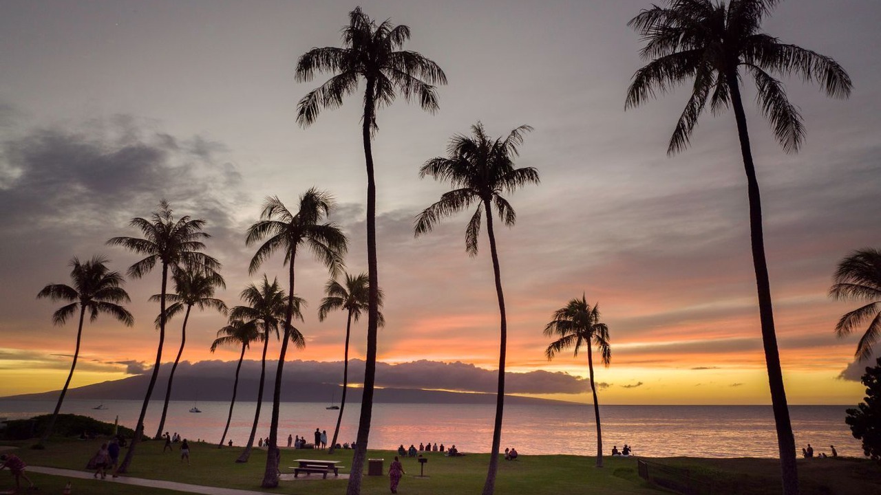 Photo of Others in Lahaina