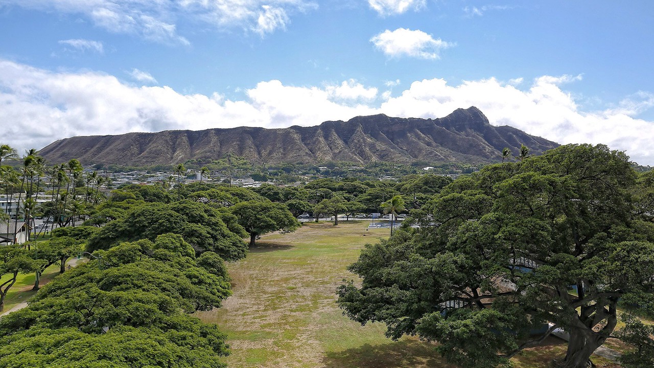 Photo of Others in Waikiki