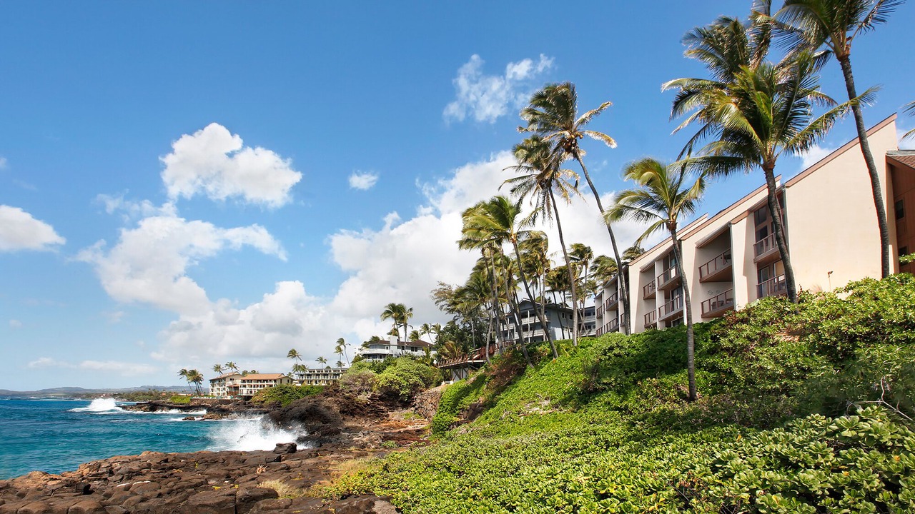 Photo of Others in Poipu