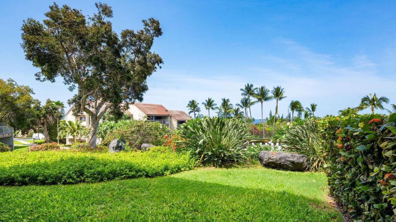 Photo of Others in Keauhou