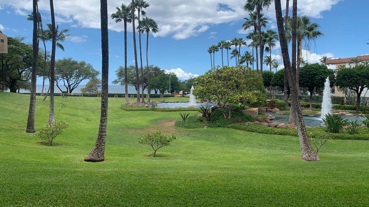Photo of Others in Kihei