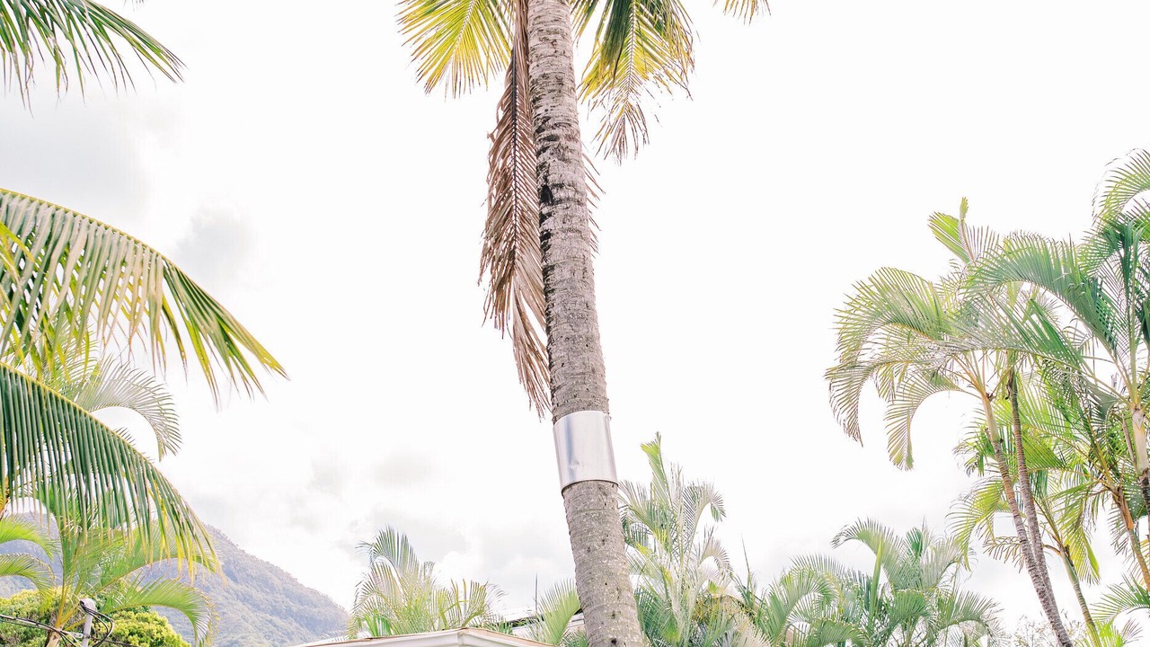 Photo of Outdoor in Keolu Hills