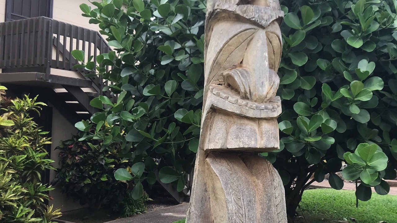 Photo of Outdoor in Napili