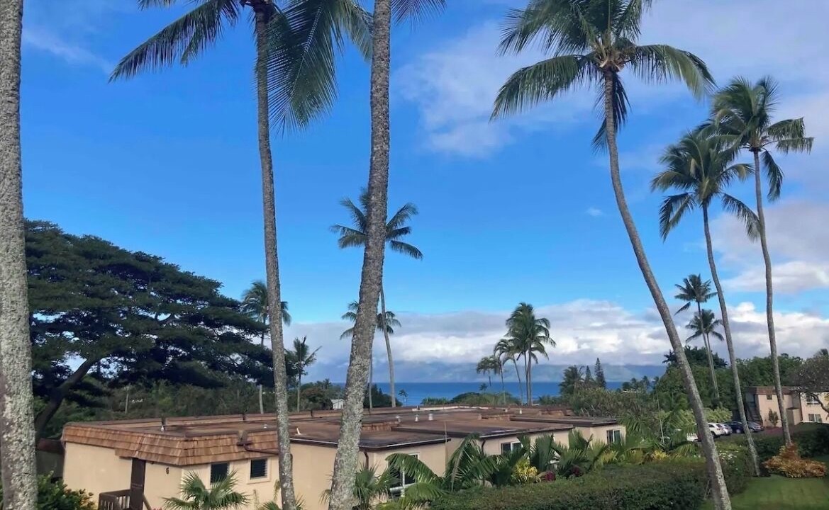 Photo of Outdoor in Napili