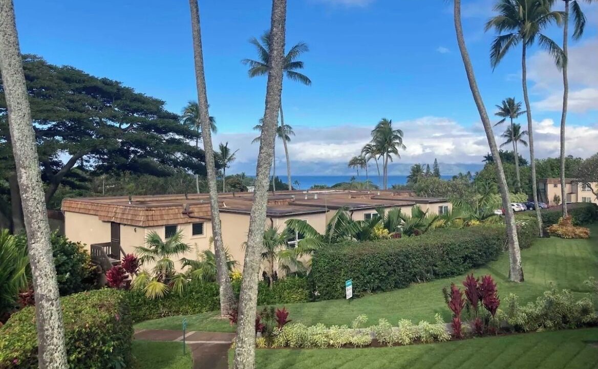 Photo of Outdoor in Napili