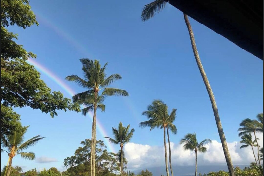 Photo of Others in Napili