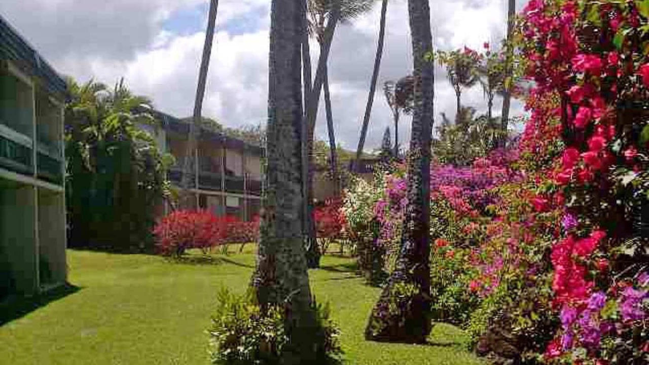 Photo of Outdoor in Napili