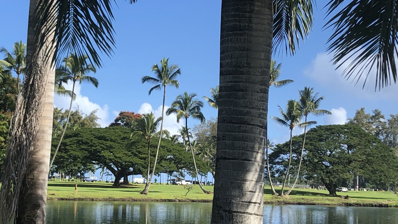 Photo of Others in Hilo