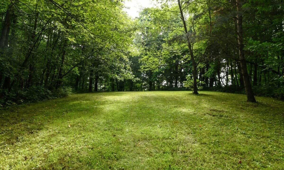 Photo of Outdoor in Mansfield