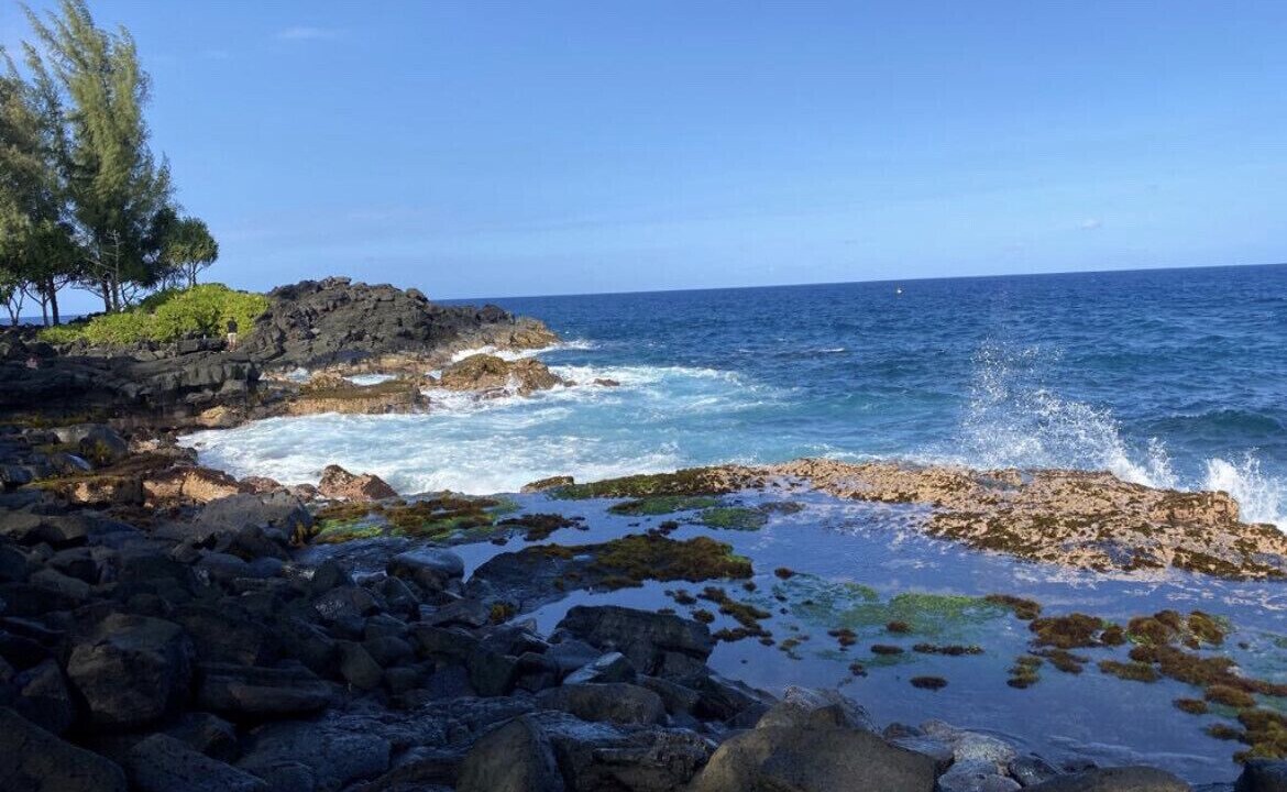 Photo of Others in Keaau