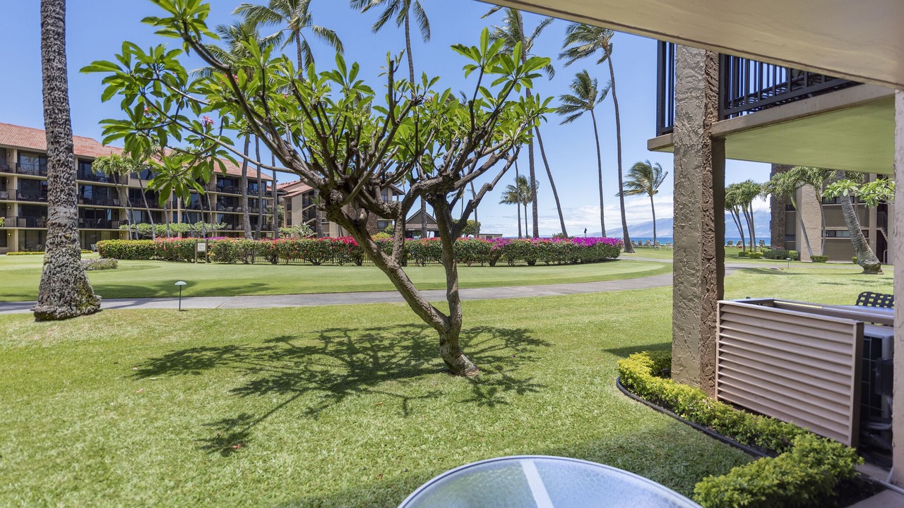 Photo of Outdoor in Honokowai
