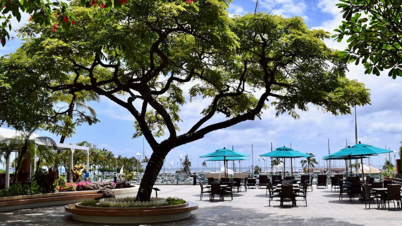 Photo of Outdoor in Waikiki