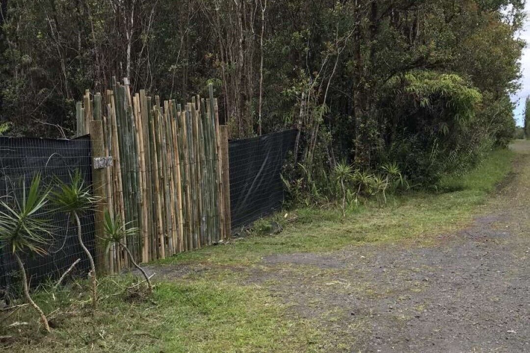 Photo of Outdoor in Mountain View