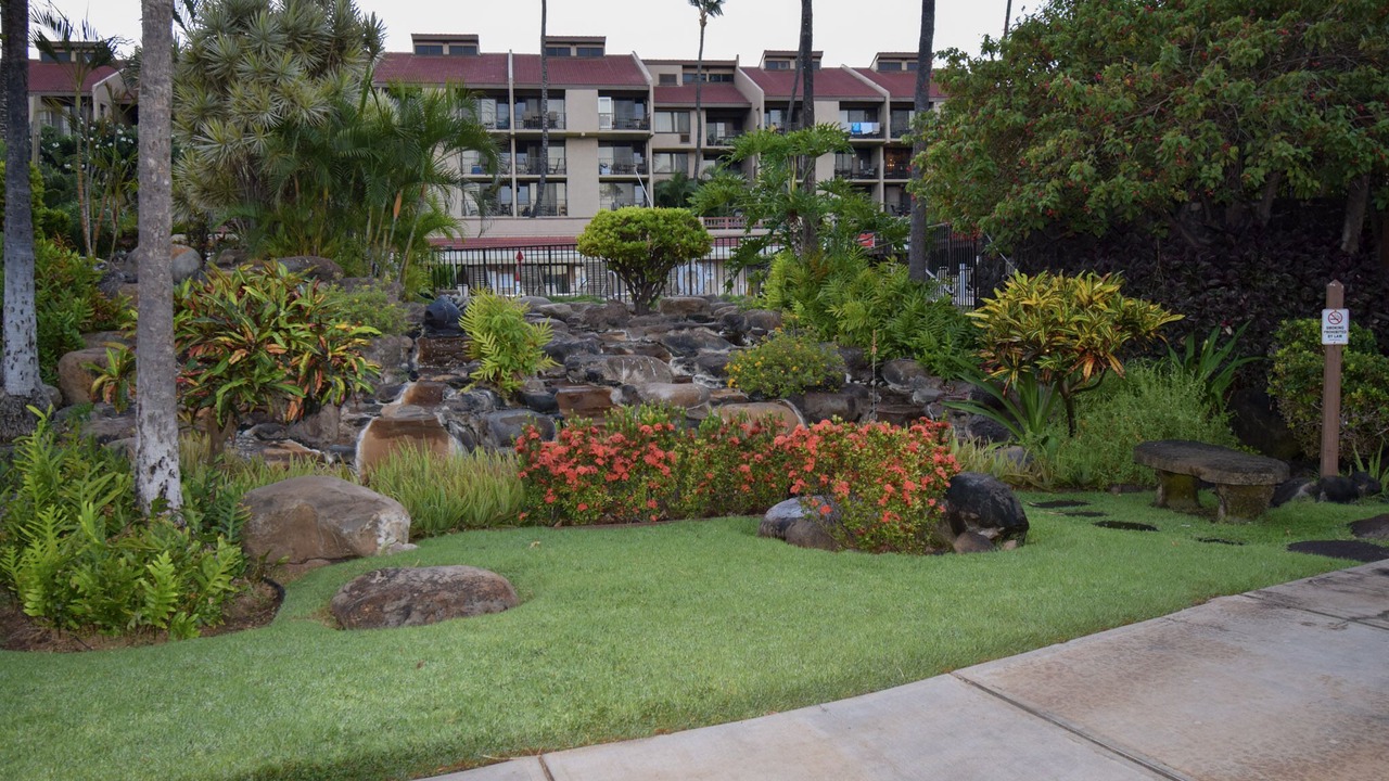 Photo of Outdoor in Kihei