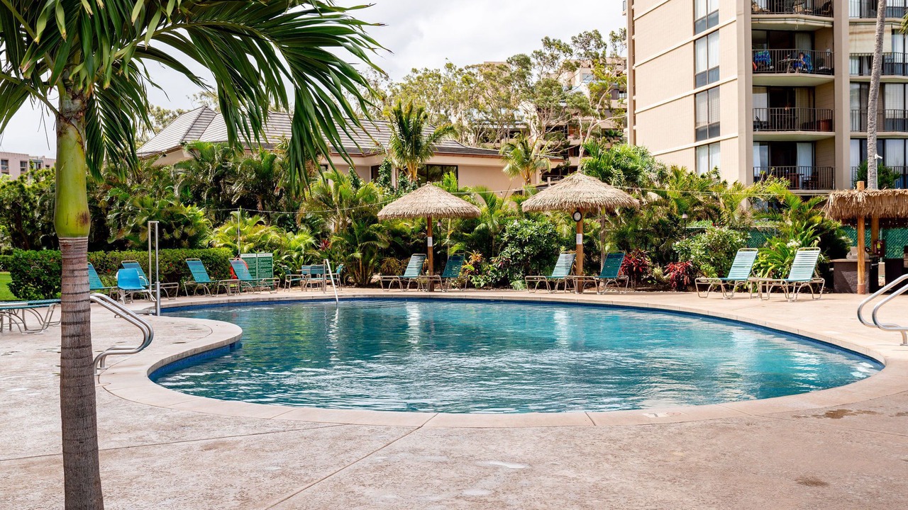 Photo of Outdoor in Kahana