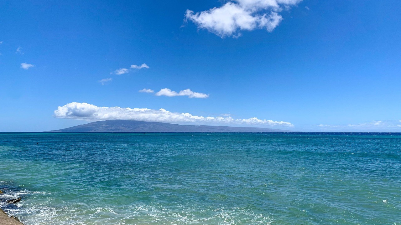 Photo of Others in Kahana
