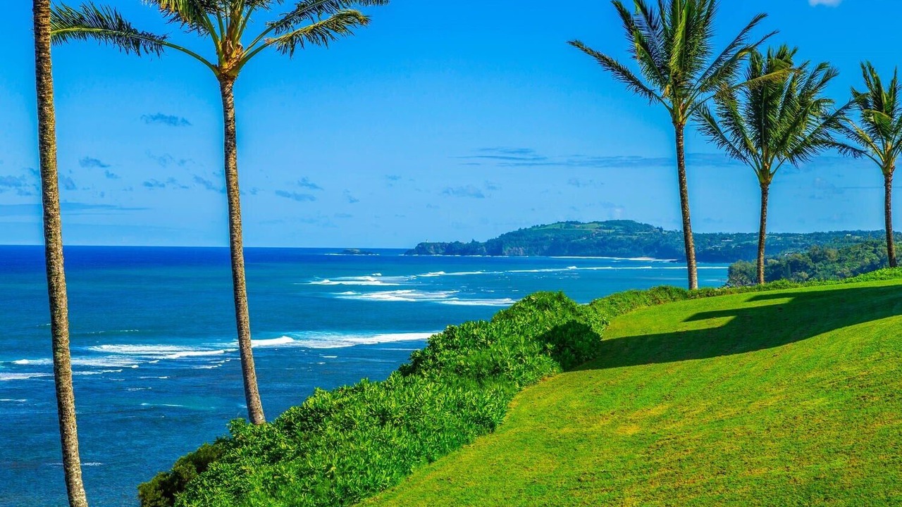 Photo of Others in Princeville