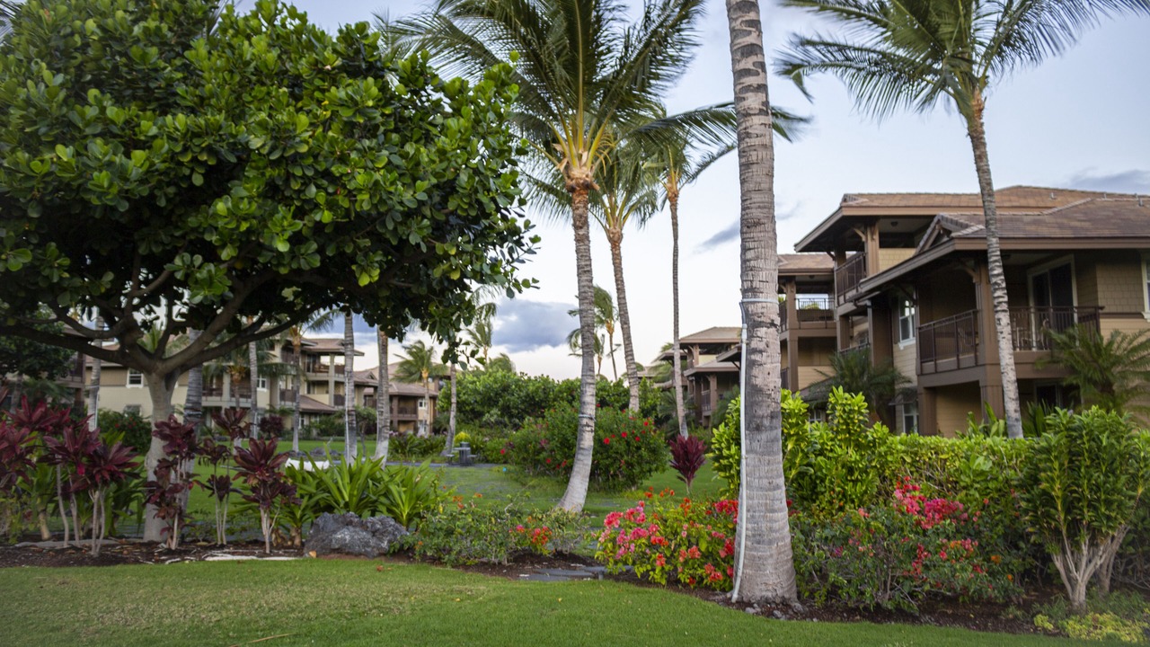 Photo of Outdoor in Waikoloa