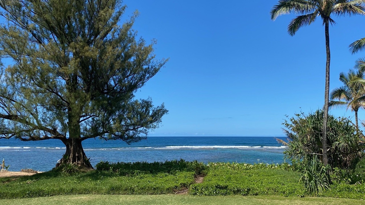 Photo of Others in Wainiha