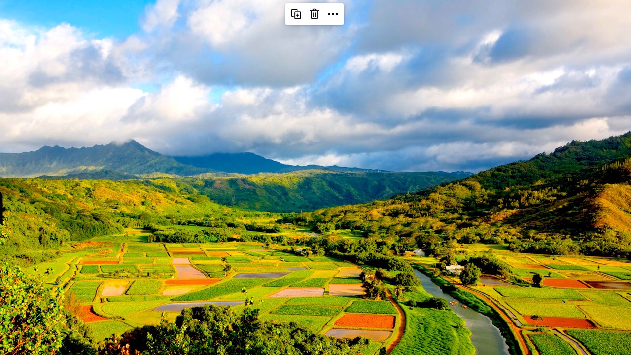 Photo of Others in Princeville