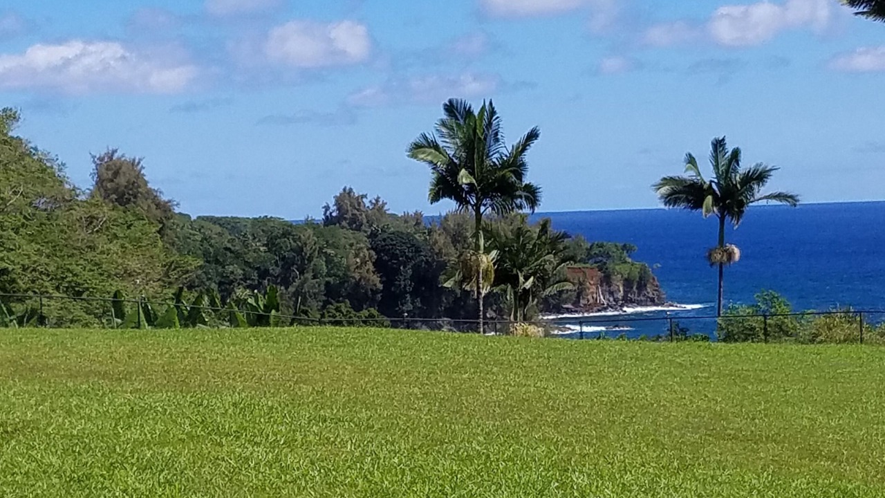 Photo of Others in Papaikou
